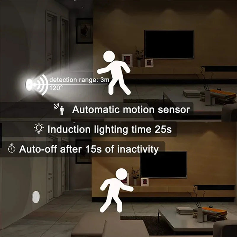 FrostBox™ PIR Motion Sensor Light