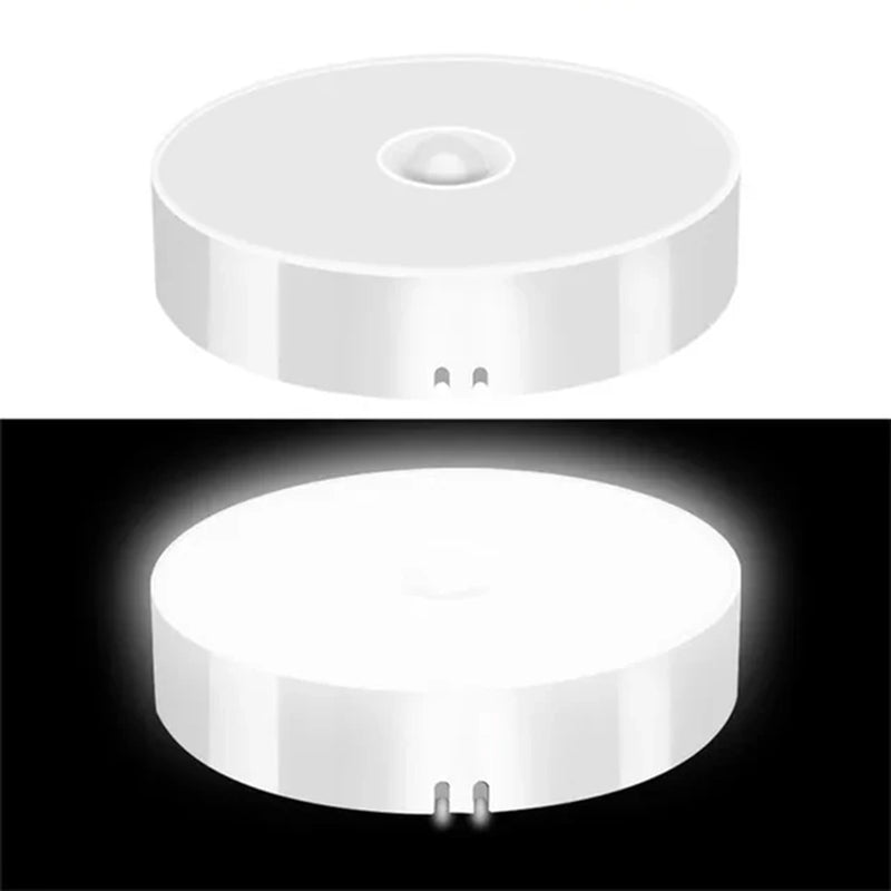 FrostBox™ PIR Motion Sensor Light