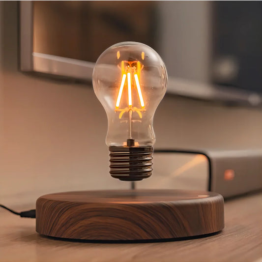 FrostBox™ Magnetic Floating Bulb 